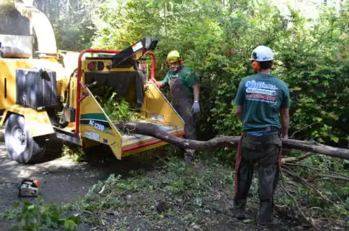 tree services Montebello